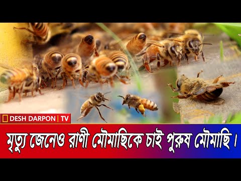 ভিডিও: এমবসিং হল মুদ্রণের ভবিষ্যৎ