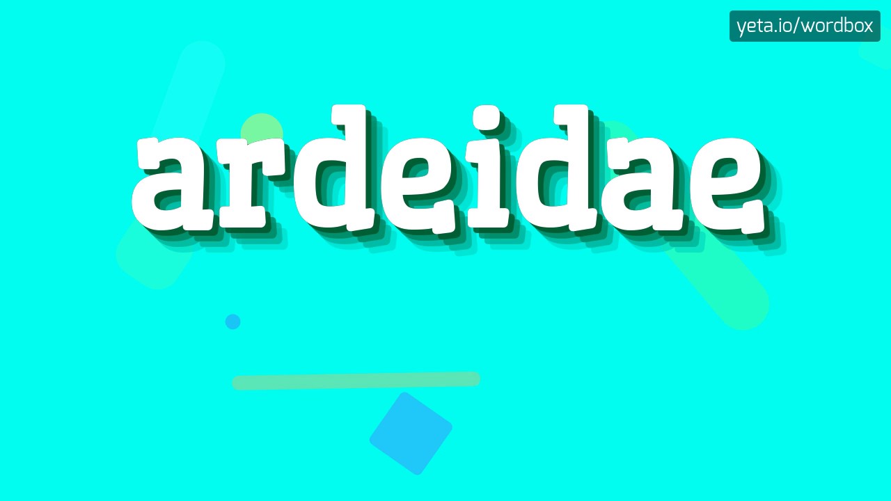 ARDEIDAE - HOW TO PRONOUNCE IT!?