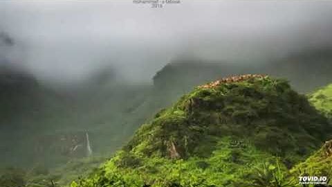 تلاوة عطرة من سورة فاطر | { إِن الذين يتلون كتاب الله }