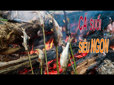 Săn CÁ suối ở Chế Tạo - Mù Cang Chải P2- Cá Nướng trên bờ suối ngon chưa từng có | Mua đặc sản 3 miền