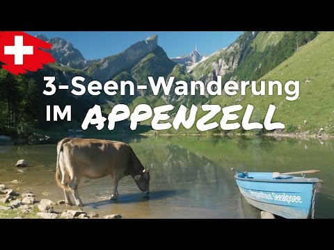 SIND KÜHE WIRKLICH SO GEFÄHRLICH? | 3-SEEN-WANDERUNG IM APPENZELL | VLOG 003