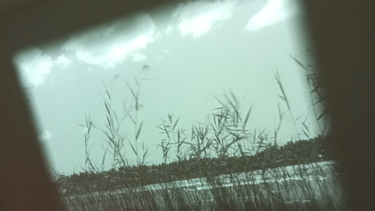 Nordic Life Exhibition | Photos | Nordiska museet | Stockholm, Sweden