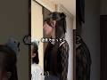 おかあちゃんの容態が悪くなりました #あっぱれかなちゃん #shorts