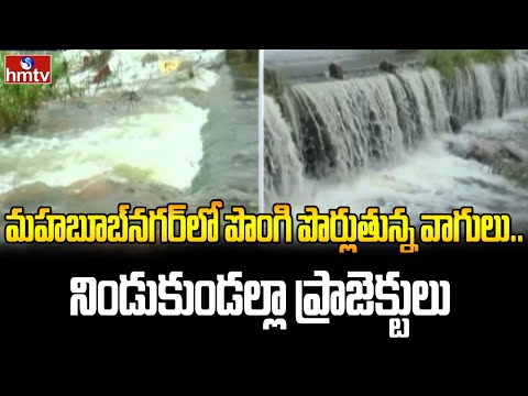 మహబూబ్‌నగర్‌లో పొంగి పొర్లుతున్న వాగులు.. నిండుకుండల్లా ప్రాజెక్టులు | Mahabubnagar Rains | hmtv - HMTVNEWS