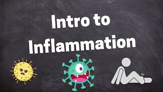Famous Introduction to Inflammatory Response Net Worth