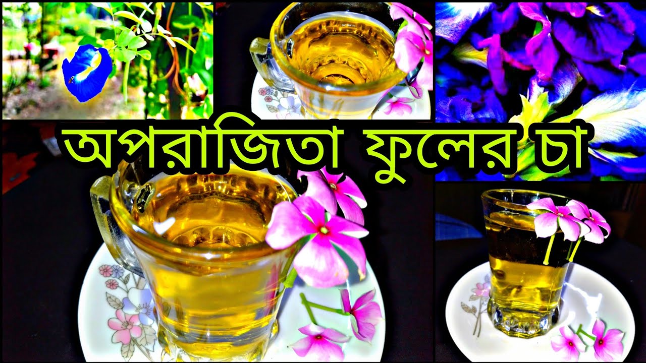 অপরাজিতা ফুলের চা রেসিপি Butterfly pea flower tea Tea recipe