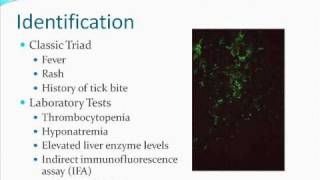 diseases