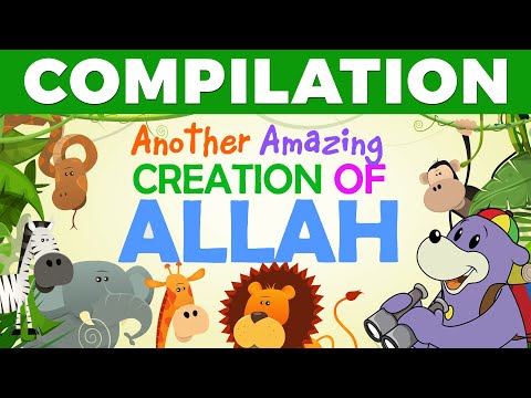 amazing-creations-of-allah-with-zaky---compilation