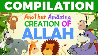 AMAZING Creations of ALLAH with Zaky - COMPILATION