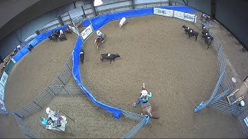 Big Sky Ranch Sorting Saddle Series #4 - #8 HC RANCH HAND (2 CAP SORTER) - Round #1 - Ride #18