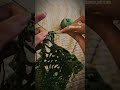 Схема косынки есть у меня в телеграмм канале 🧶