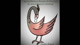 Agolo(Shimza Remix) & Porcion de amor (Kgzoo) mashup