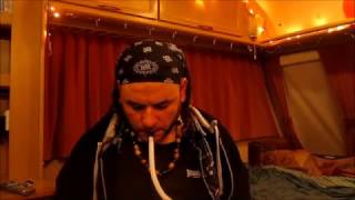 Christmas in a caravan!
Vegan advent day 24: my awesome Christmas accommodation. Christmas in a caravan!