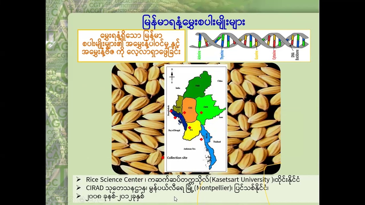 Dr. Khin Myo Myint
