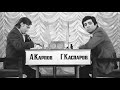 "Высший пилотаж". Самая красивая партия матча Карпов - Каспаров (1984). Показывает Михальчишин