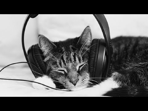 YouTube에서 Techno Mix 2021 July / August 보기 YouTube에서 Techno Mix 2021 July / August 보기
