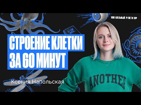 Строение клетки за 60 минут. Подготовка к ЕГЭ по биологии 2024