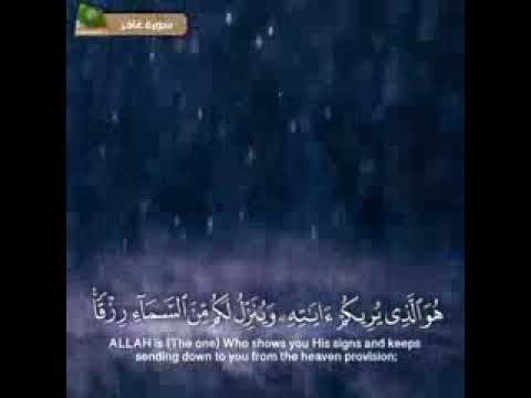 حالات واتس اب هو الذي يريكم ايته وينزل لكم من السماء