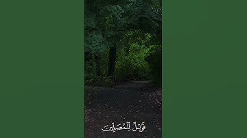 سورة الماعون {۱} قارئ: ؟ #قران #قران_كريم #سورة_الماعون #quran_alkarim  #surahalmaun