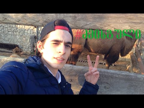 სელფი აქლემებთან - ბაქოს ვლოგი #2