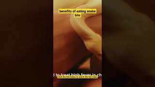 benefits of eating snake bile #shorts #short #snakebile