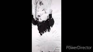 Tik Tok Shov Daxshat Vidyo