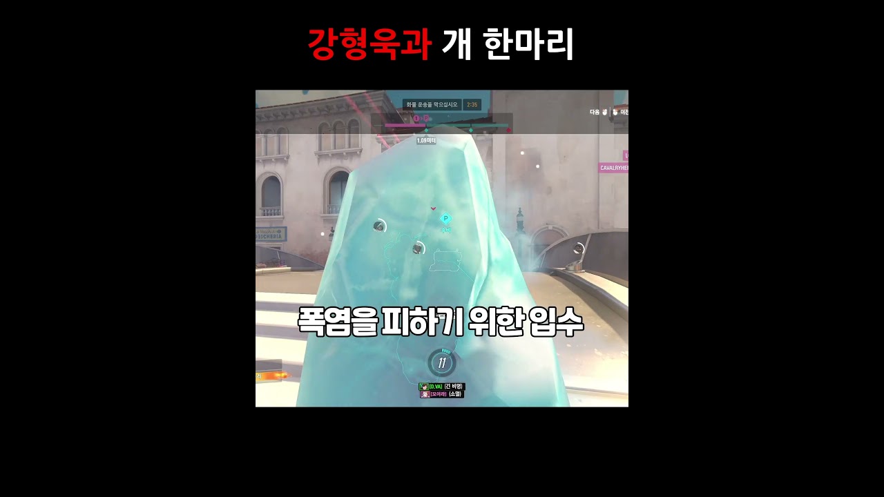 강형욱과 개 한마리 