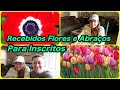 Recebidos Flores - Abraços para Inscritos / Received Flowers and Hugs for Subscribers