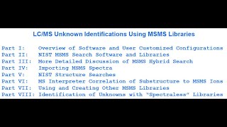 Part VI MS Interpreter