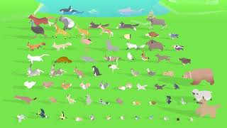 WILDPOLY - Animated Animals – Low Poly Pack