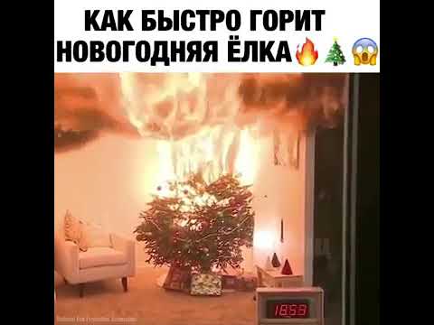 Новогодняя Елка Горит