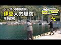 シーズン開幕直前！伊豆人気堤防を探索【虫ヘッドおじさん目指せ100魚種の旅vol.10】