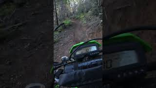 Nor Cal Single Track | KLX 300 Dual Sport Penny Pines #klx300 #dualsport #norcal #singletrack #grom