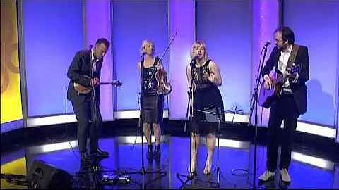 gm ARD rain dogs feb 11 1
