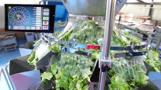 Full Automatic Vegetable Salad （rotating vibration plate ，pattern hopper）Packaging Machine