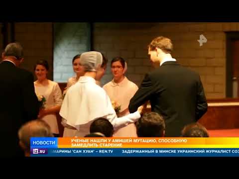 Video: Rozdíl Mezi Amiši A Mennonity