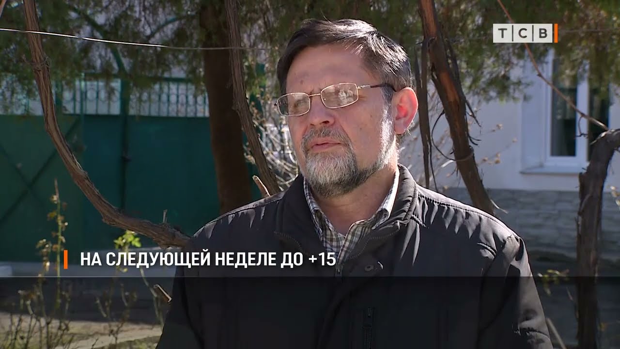 На следующей неделе до +15