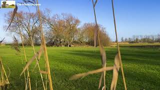 Download Lagu Extra wandeling bij hondenpension De Merenhoeve MP3