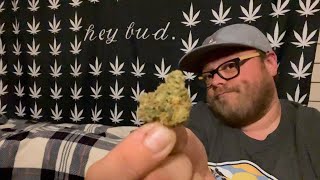 Stardawg Review