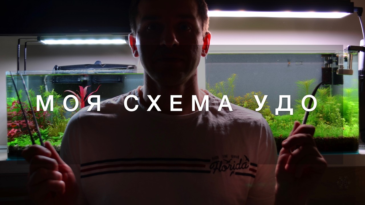 Моя схема удобрений для двух травников: как я обслуживаю аквариумы