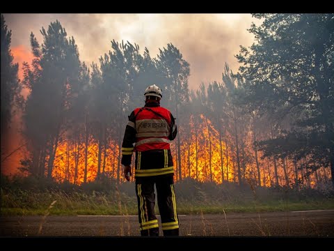 Europe Heatwave: Forest Fire Sears Parts Of Europe As Heatwave Increases Temperature