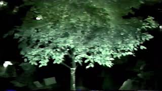 ECHS: Prom 2003
