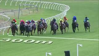 Famous 2020 Magic Million 2yo | Away Game Wealth