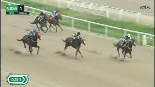 (Busan) 2023.08.11 R1 Class 6 (1000M) Special Weight A