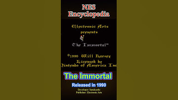 The Immortal - Released 1990 - NES Encyclopedia #NESencyclopedia #nes #retrogaming #retro #nesgames