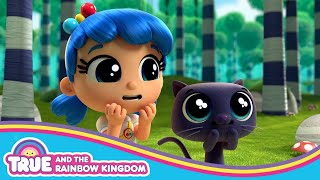 Büyük Yosun Karmaşası Tam Bölüm True Ve Gökkuşağı Krallığı 1. Sezon 1. Bölüm