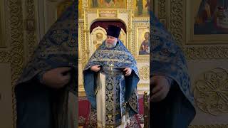 Проповедь. Сретение Господа Бога и Спаса нашего Иисуса Христа. Прот. Алексей Потокин