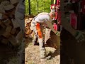 log splitter hydraulic firewood