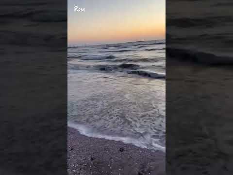 الي يمشي يمشي زي بعضه عمرو دياب حالات واتس اب
