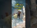 دعاء الأم يفتح كل الأبواب المغلقة دعاء مستجاب أدعية وأذكار  فضيلة الشيخ سعد العتيق